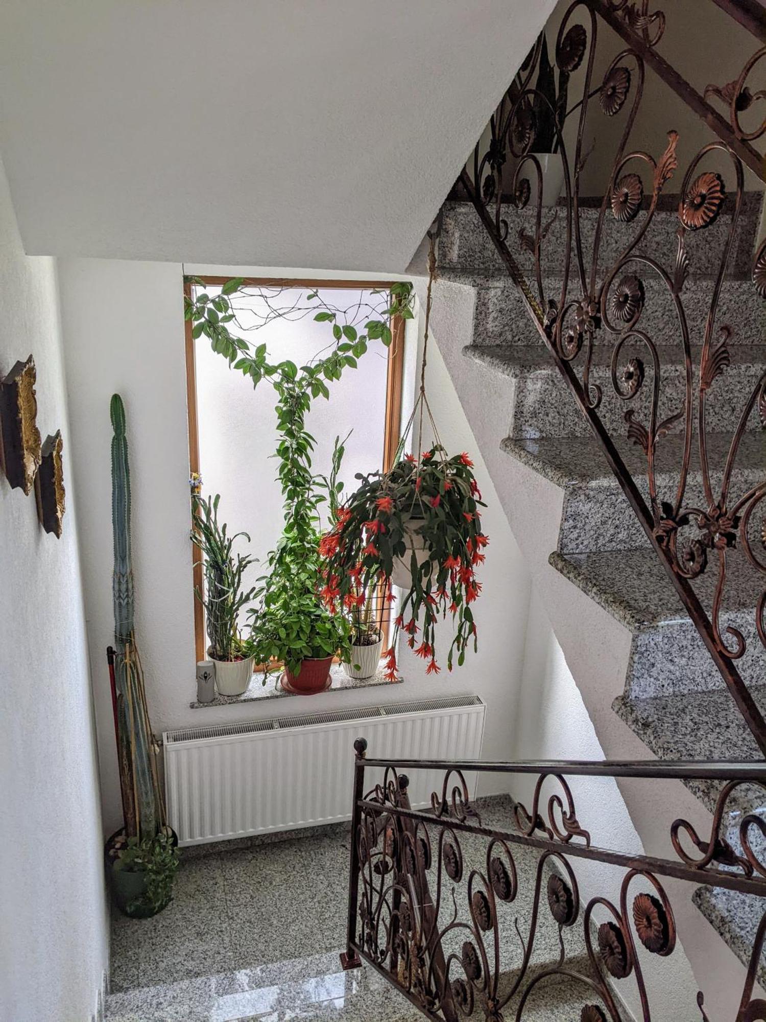 Apartmani Hrastik Bihać Exterior foto