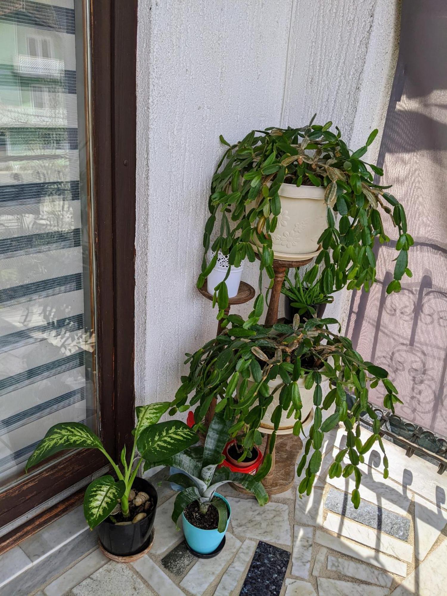 Apartmani Hrastik Bihać Habitación foto