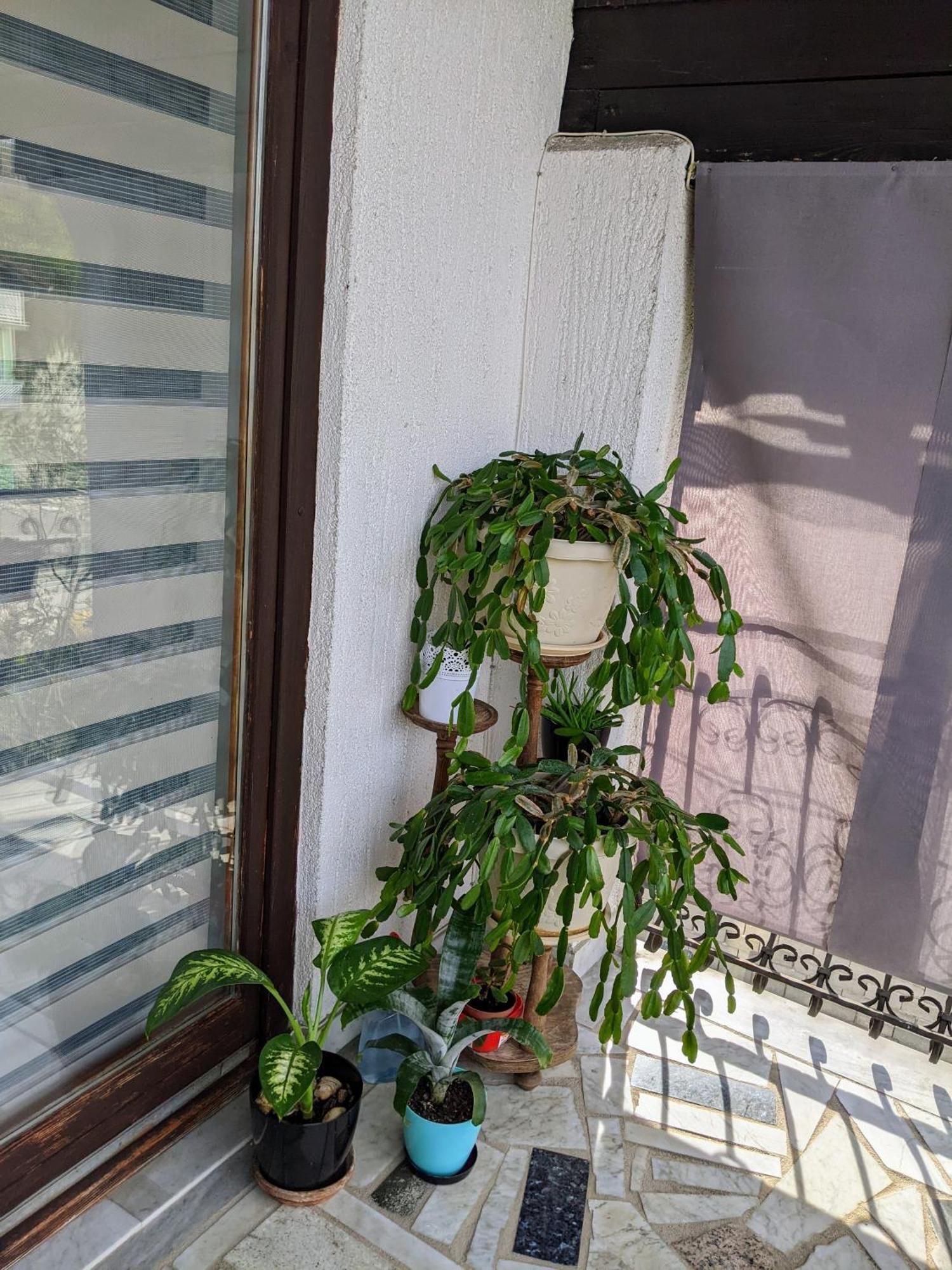 Apartmani Hrastik Bihać Habitación foto
